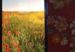 Xiaomi Redmi Note 9 . (Used)