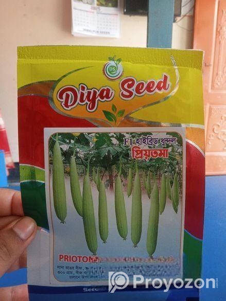 হাইব্রিড ধুন্দল বীজ