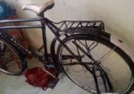 Bicycle for sell