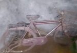 Bicycle For Sell