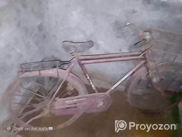 Bicycle For Sell