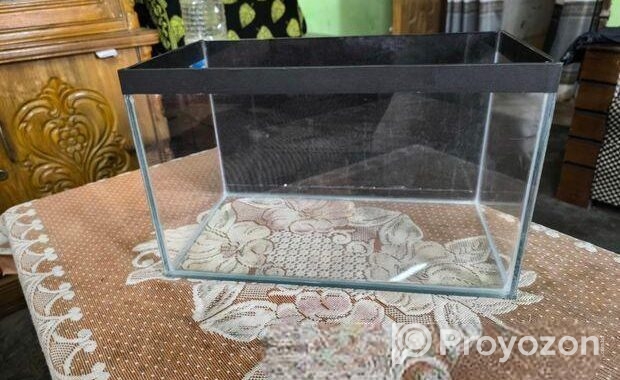 Aquarium Tank