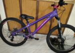 boarse sun 6.1 custom build bicycle