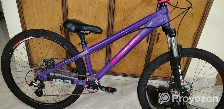 boarse sun 6.1 custom build bicycle