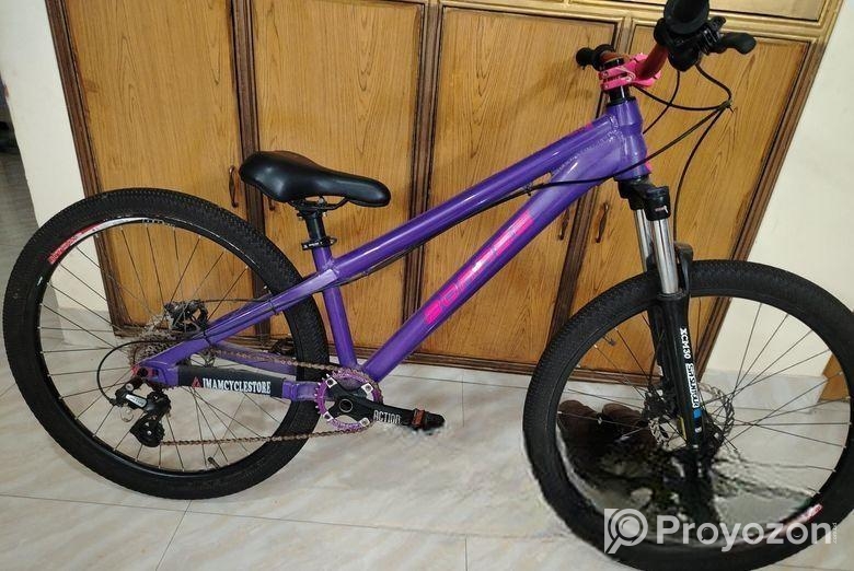 boarse sun 6.1 custom build bicycle