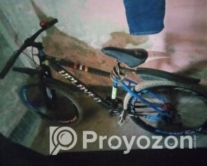 fitted-43_2025-08-27_10-33-25
