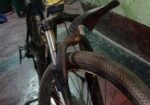 Bicycle for sale