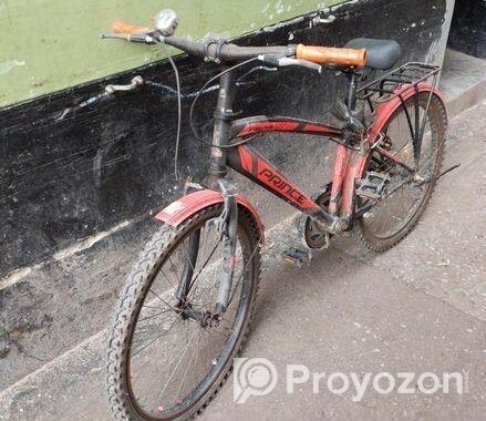 Prince Bicycle for sale