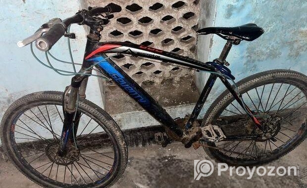 Bicycle for Sale