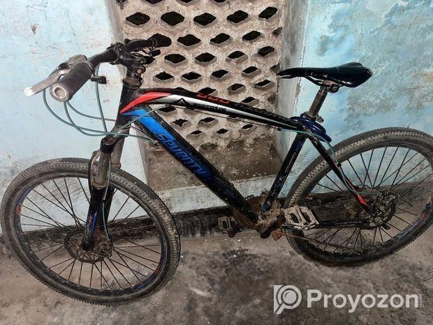 Bicycle for Sale