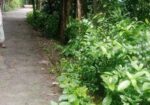 জমি বিক্রয়