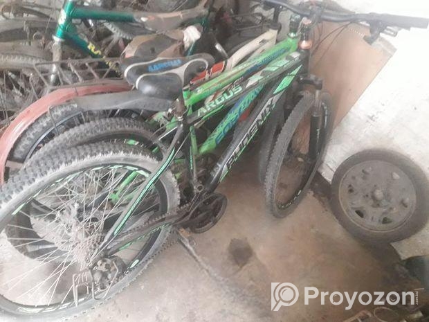 phoenix argus for sell