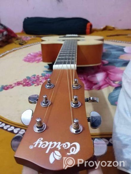 গিটার বিক্রি