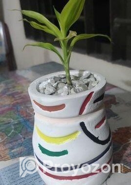 ফুলটব এবং গাছ সহ