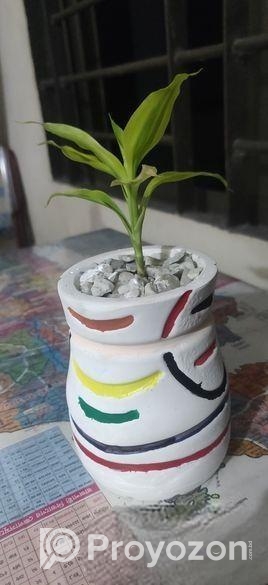 ফুলটব এবং গাছ সহ