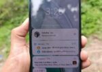Vivo V40 lite (Used)