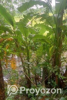 জমি বিক্রয়