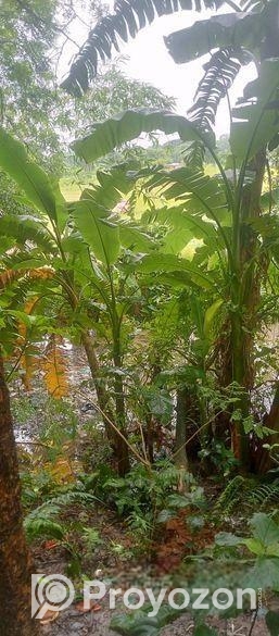 জমি বিক্রয়