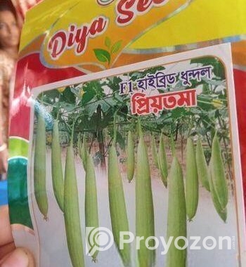 হাইব্রিড ধুন্দল বীজ