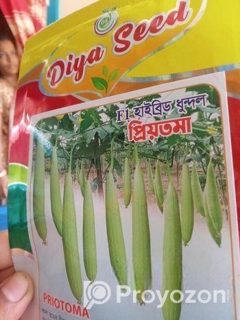 হাইব্রিড ধুন্দল বীজ