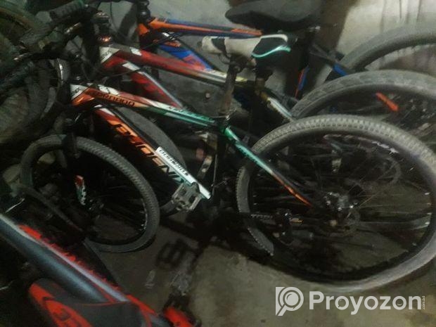 Phoenix Tornado CYCLE