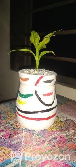 ফুলটব এবং গাছ সহ