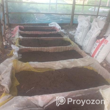 কেচোঁ ভার্মি কপপোসট জৈব সার