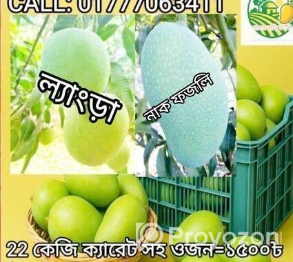 নওগাঁর বিখ্যাত জিআই পণ্য নাক ফজলি কিনুন সরাসরি বাগ