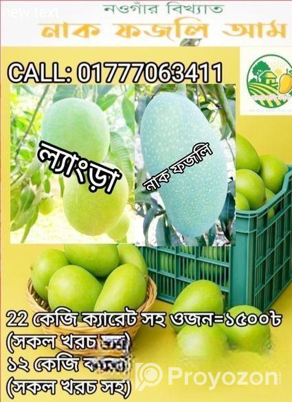 নওগাঁর বিখ্যাত জিআই পণ্য নাক ফজলি কিনুন সরাসরি বাগ