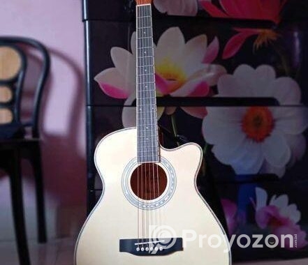 গিটার বিক্রি