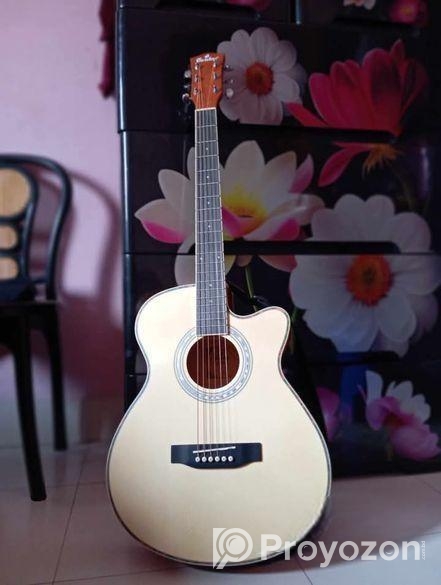 গিটার বিক্রি