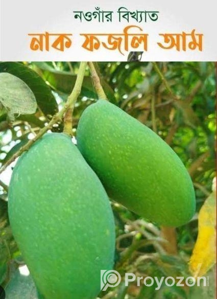 নওগাঁর বিখ্যাত নাক ফজলি আম কিনুন