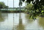 জমি বিক্রয় হবে – ইছর কান্দি-গাজীপুর – (IUT থেকে মা