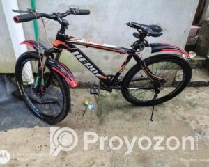 fitted-48_2025-08-04_09-38-03