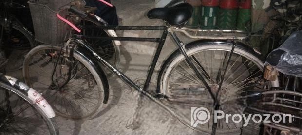 Phoenix Bicycle for sale