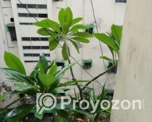 fitted-48_2025-08-27_10-30-55