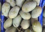 আম্রুপালি প্রিমিয়াম কোয়ালিটি আম
