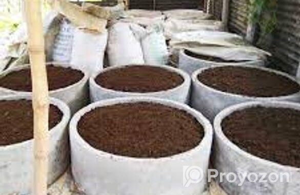 ভার্মিকম্পোস্ট সার কেঁচো