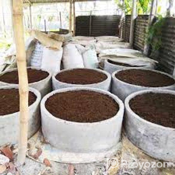 ভার্মিকম্পোস্ট সার কেঁচো