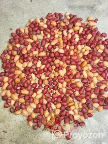 মুগ কালই কাতি কালাই, সিমের পিসি পাকড়া