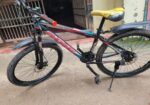 Phoenix Bicycle for sale