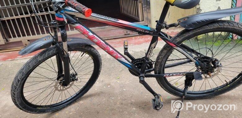 Phoenix Bicycle for sale
