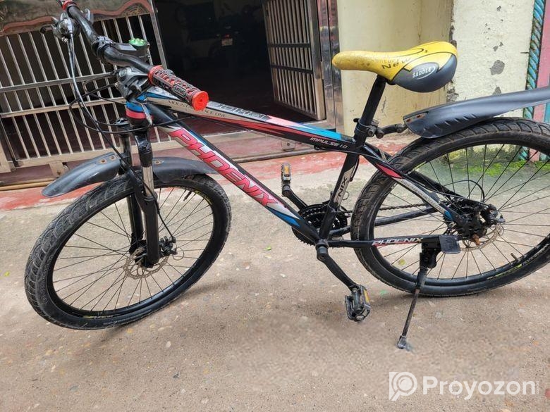 Phoenix Bicycle for sale