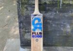 CA PLUS 8000 English Willow