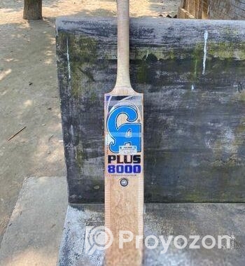CA PLUS 8000 English Willow