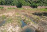 ৫ বিঘা জমি বিক্রি করা হবে