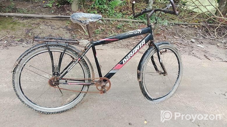 Duranta knight cycle