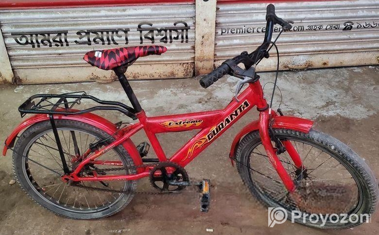 Duranta 20 size baby cycle