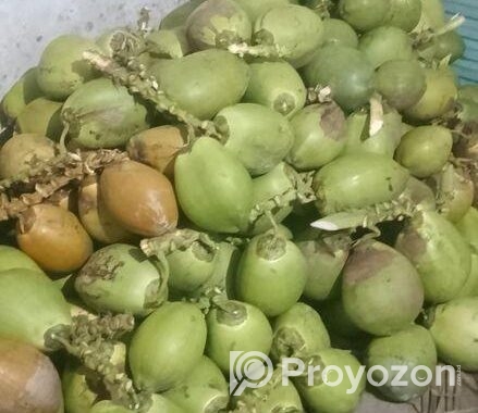 সরাসরি বাগান থেকে সংগ্রহ করা টাটকা ডাব এবং নারকেল।