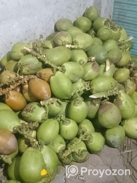 সরাসরি বাগান থেকে সংগ্রহ করা টাটকা ডাব এবং নারকেল।
